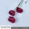 3-headed bract rose YB pinkish-purple
