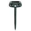 LT-AR081