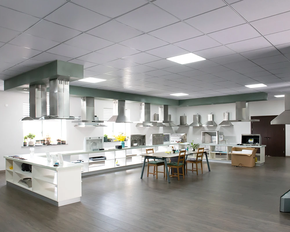 Manufacturing Wall Mounted Kitchen Stainless Steel Range Hood/ Cooker