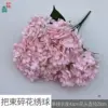 ช่อดอกไฮเดรนเยียสีชมพูอ่อน