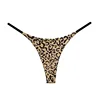 Leopardo dorato