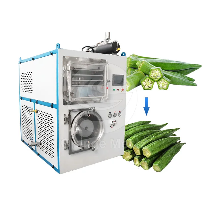 ORME Meat Freeze Drying Machine Laboratory Sublimation Vacuum Pump Dryer Small Food Freeze Dryer for Milk Powder