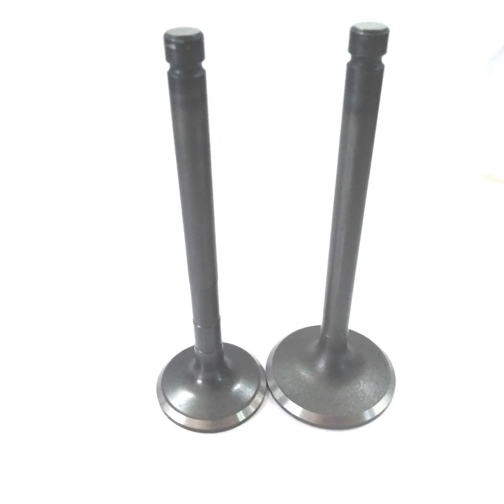 JT Engine Intake Exhaust Valve Used for Kia Pregio Engine for Sale