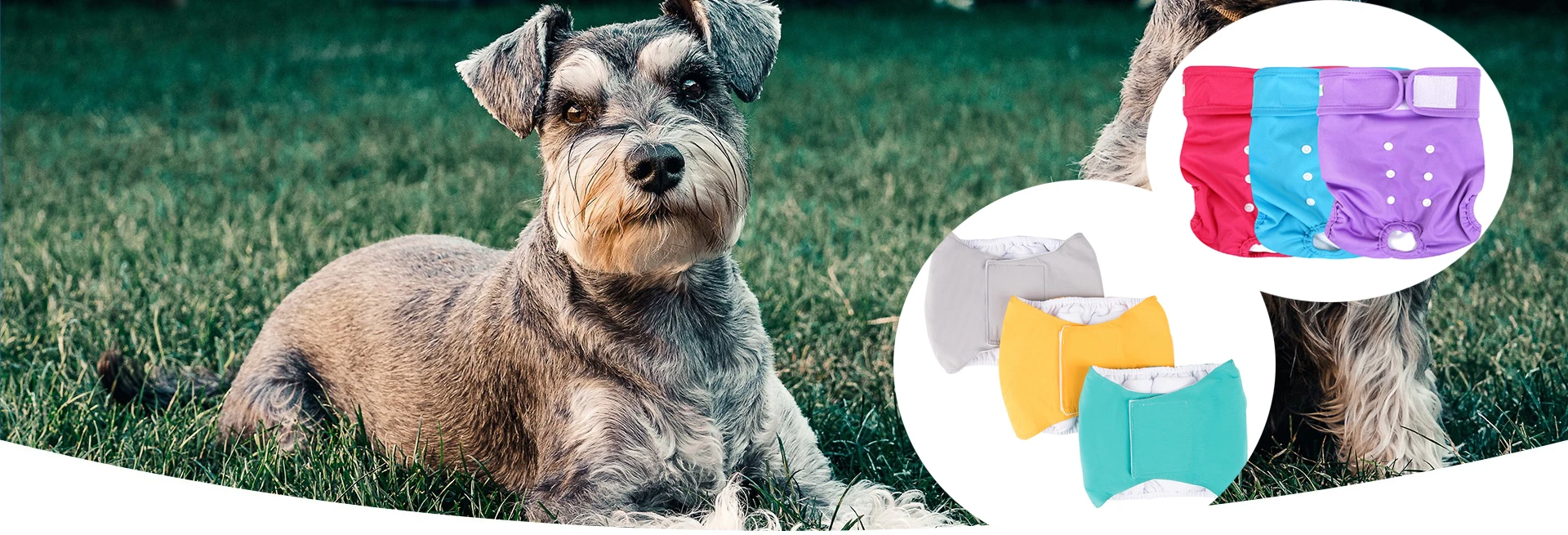 Washable Belly Bands for Male Dogs Dog Belly Bands from Small Pet Cloth Diaper manufacture