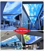 Blue Sky ceiling