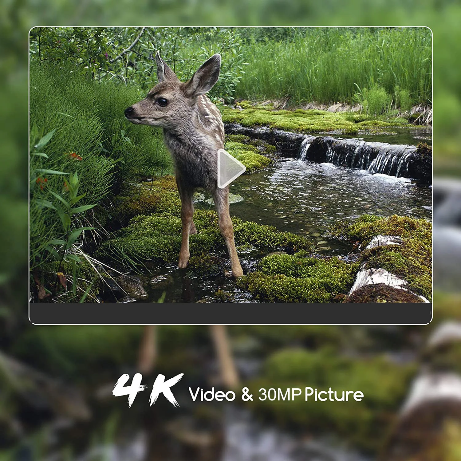 Hunting Trail 4K 30MP Trap Game Wildlife Camera MMS Wifi801Pro Support Max 256GB SD Card