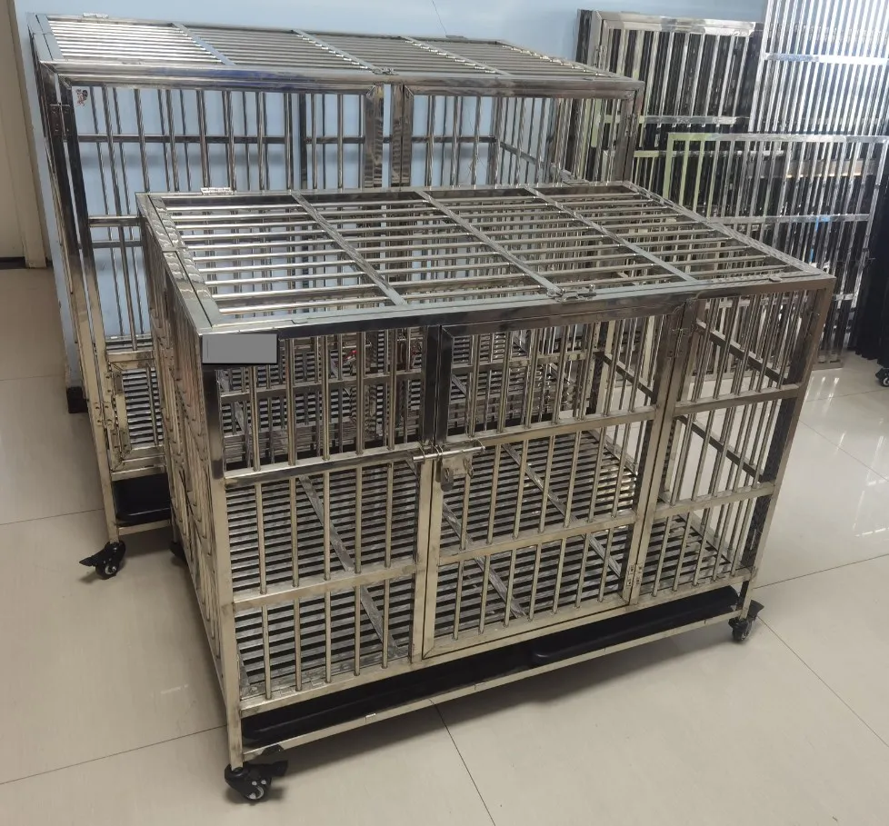 Zhengzhou Bensandy Trading Co., Ltd. 1