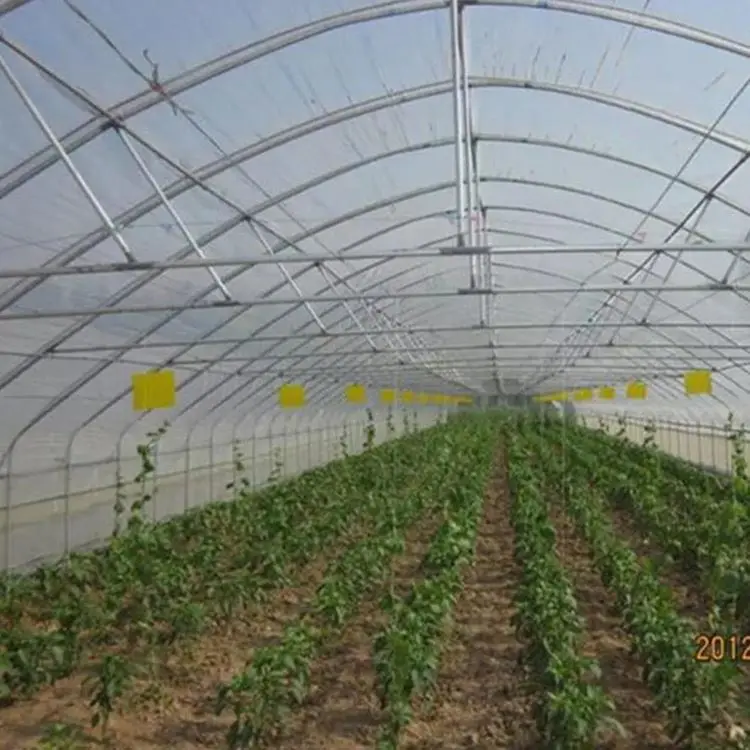 Turnkey Project Customizable Single Span Tunnel Agriculture Vegetable Greenhouses Kit for Growing Cucumbers