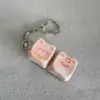 Cochon à fond transparent à deux clés 412