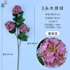 Hortensia de 3 cabezas DG Dark Purple