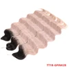 TT1B/GPINK28