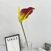 Coeur jaune mei violet