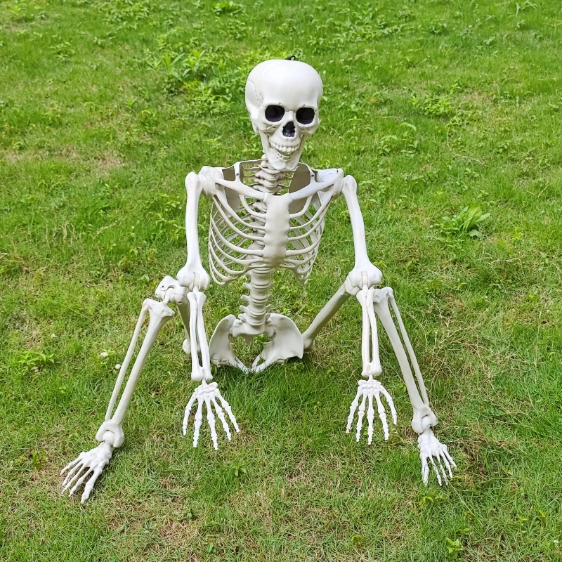 kamulouk Scheletro di Halloween da 165 cm, scheletro posabile con giunti mobili per decorazione della casa, scheletro mobile per Halloween, a grandezza naturale, 170 cm