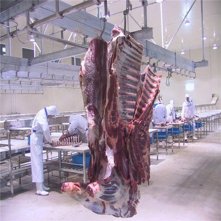 Cow slaughterhouse with meat processing and boning machines
