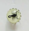 Black scorpion glow in the dark
