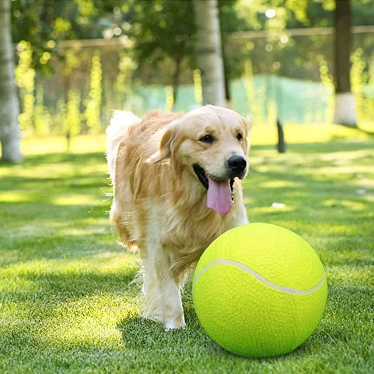 AMA SPORT Factory Deflated Oversize Signature Tennis Ball Pet Toy Funny 9.5 Inch Jumbo Tennis Ball for Dog
