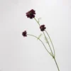 Rojo oscuro