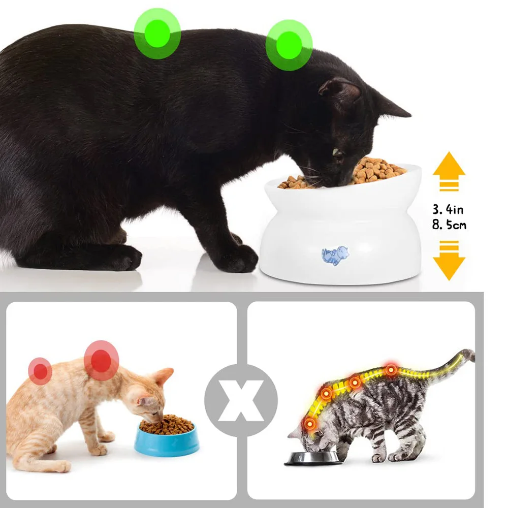 Custom Porcelain Cat Food Container 15 Degrees Tilted Elevated Food Water Bowls Cat Spine Stress