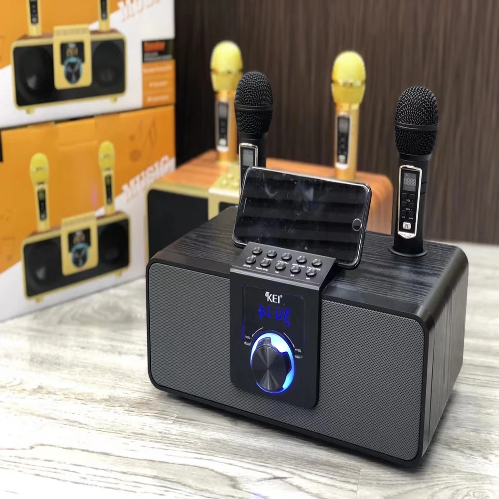 Wholesale 30w Subwoofer Speaker With Double Microphones Home Party Ktv