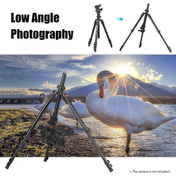 TRIOPO 162cm CameraTripod Stand 360 Degree Panorama Ball Head 6kg Load Capacity Travel Camera Tripod detail image