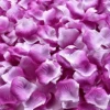 Violet 2