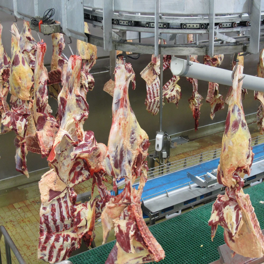 New lamb slaughtering equipment sheep slaughterhouse line sheep slaughtering machine