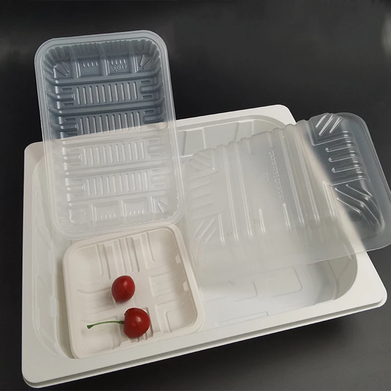 disposable PLA plastic fruit tray