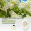 Gardenia