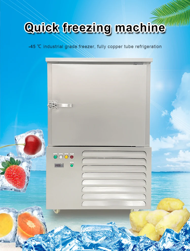 Blast Freezer, 220V, 2.3 - detail 2