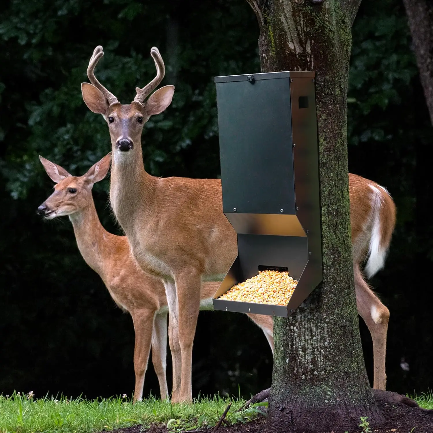 Wildlife Farm Animal Feeder Heavy Duty Metal Deer Tree Feeder Deer Corn