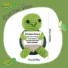 13Tartaruga verde di Natale