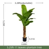 5.3FT/160CM