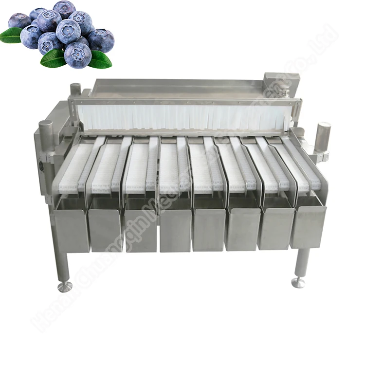 Blueberry Sorter Processing Machines Multihead Weigher Blueberry Filling Machine