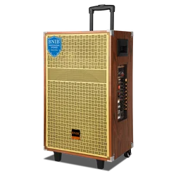 Деревянная акустическая система беспроводной OEM колонки Tws аудио звука караоке 12 дюймовый динамик для Dj вечеринки отдыха на открытом