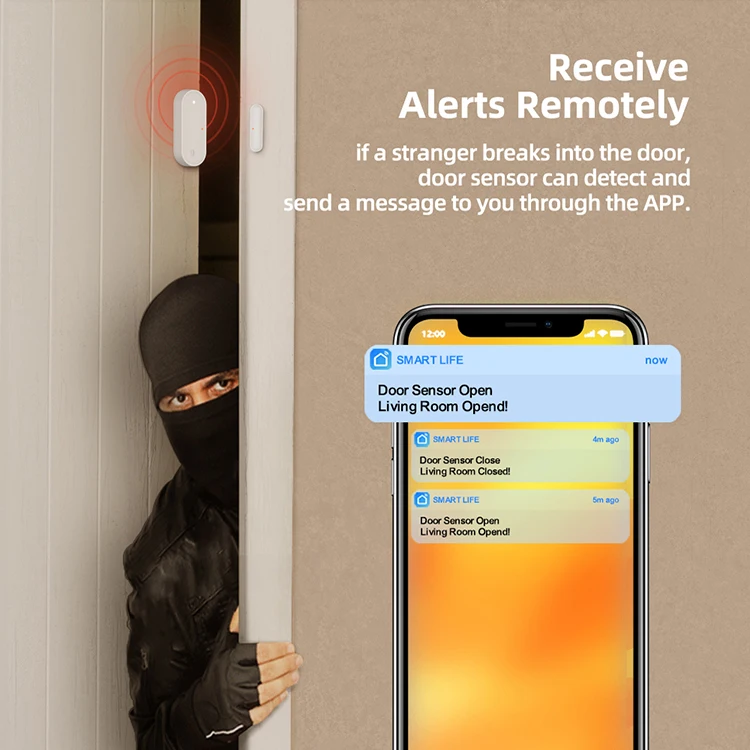 Picture Idea: Avatto Tuya Zigbee Smart Door Security Sensor