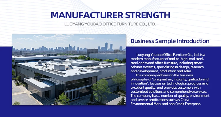 2 Door Metal Filing Locker Wardrobe manufacture