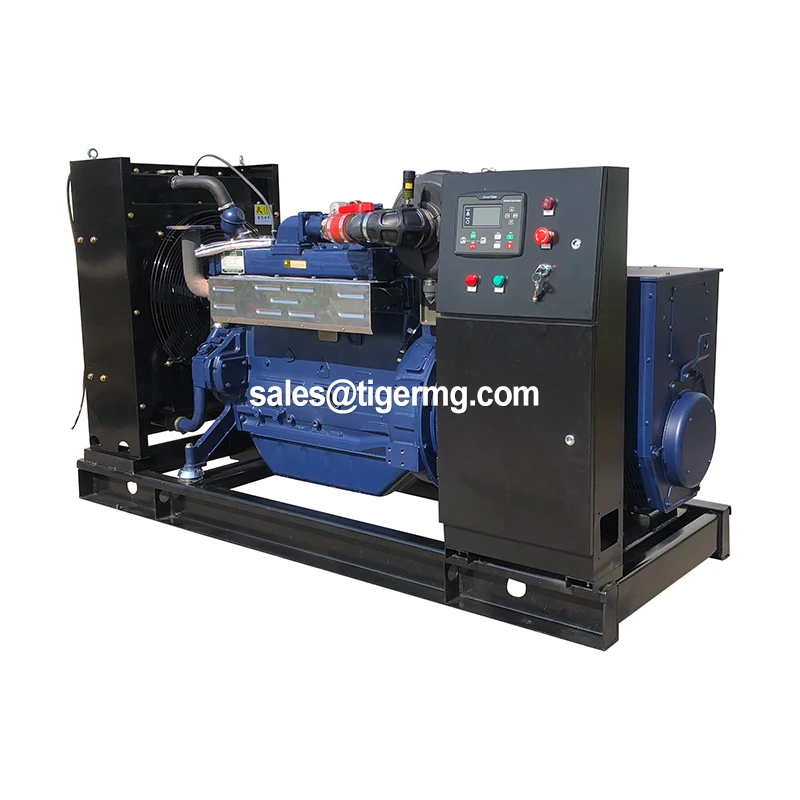 50kw 1000kw Farm Hydrogen Generation From by Mobile Biomass Methane Power Generating Plant Generator Combustion