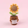 5Circle10Petal sunflower (fat expression basin) with card