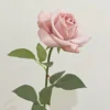 สีชมพู