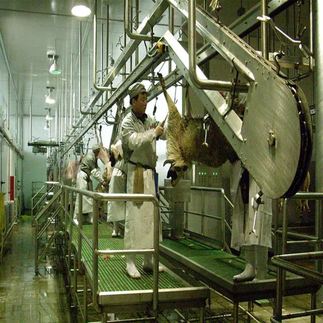 Lamb slaughtering machine sheep goat slaughtering plant equipment