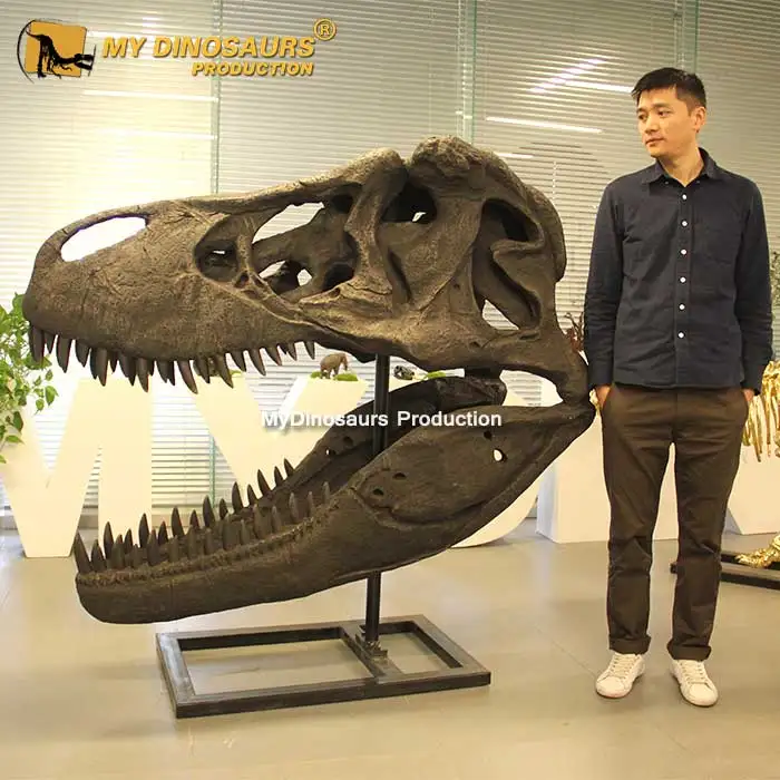 My Dino DS633, черепа тираннозавра из м/ф «Король Юрского периода» T-Rex, ископаемый