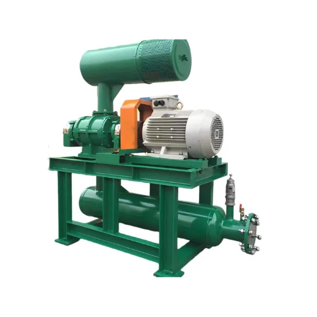Roots Type Blower HLSR100 Series - Energy Saving & Low Noise