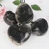 Septarian