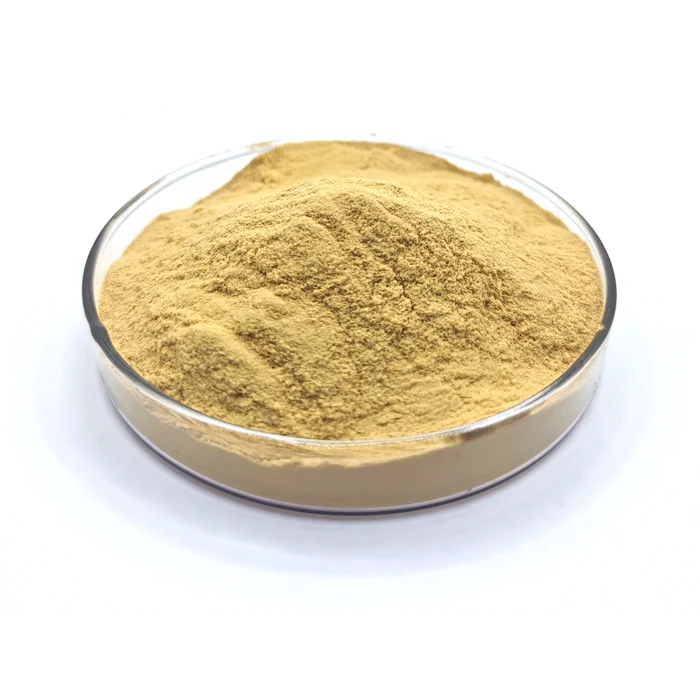 Factory Outlet Saccharomyces Cerevisiae Inactive Nutritional Food Ingredients High Nucleotide Yeast Extract Powder Price