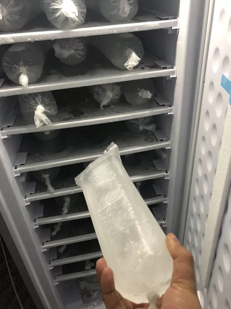 Ice Block Freezer 6.99 Cu.ft Dc 24v 198 Liters Ice Maker Freezer Buy