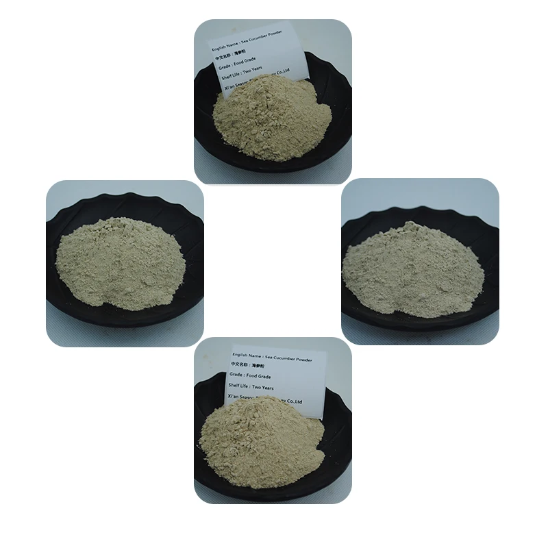 Sea Cucumber Powder 1 (1).jpg