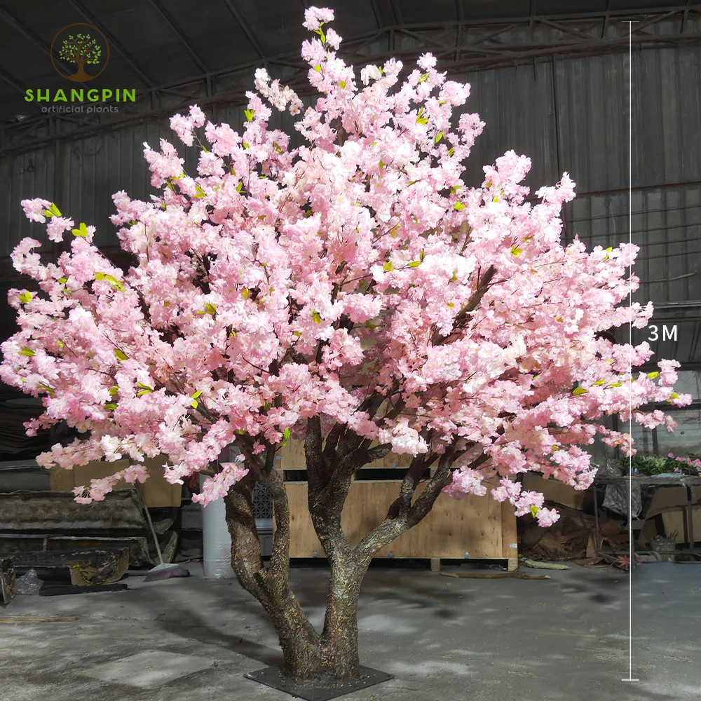 7 Unique Places to Enjoy Cherry Blossoms in Miyazaki | En