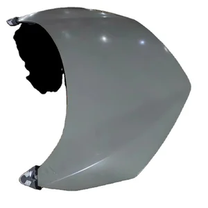 OEM Style Carbon Car Engine Hood Cover Bonnet for BYD SEAGULL