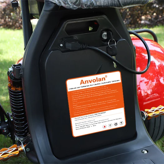 60v 20ah Removable Citycoco Lithium Ion Battery - 500-1000 Cycles