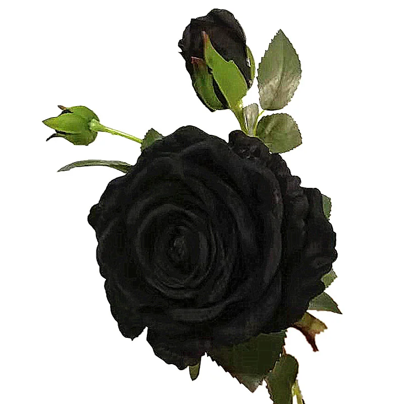 批发人造花3头人造天鹅绒黑色玫瑰花 - buy black rose flower,velvet